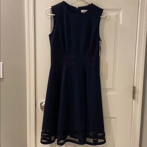 Fit and Flare Calvin Klein Dress
